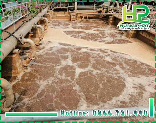 Top 5 c&ocirc;ng ty cung cấp vận chuyển b&ugrave;n vi sinh quận 12 gi&aacute; rẻ